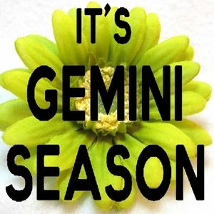 Meet your Posher, Tisha